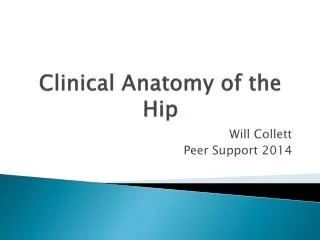 Clinical Anatomy of the Hip