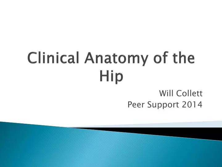 clinical anatomy of the hip