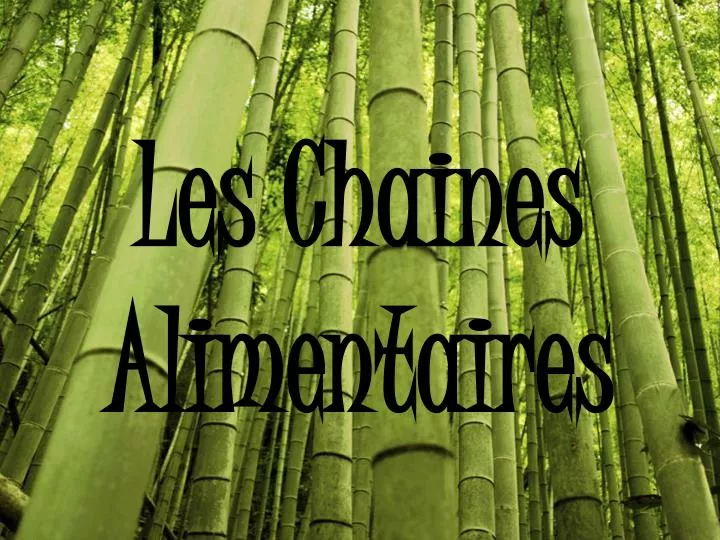 les chaines alimentaires