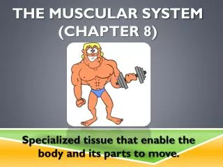 The Muscular System (chapter 8)