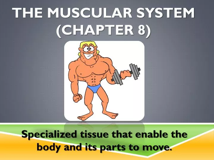 the muscular system chapter 8