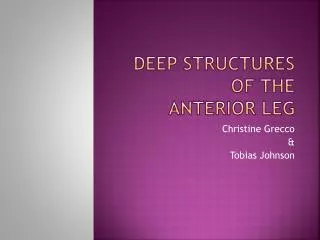 Deep Structures of the Anterior Leg