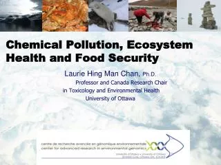 Chemical Pollution, Ecosystem Health and Food Security