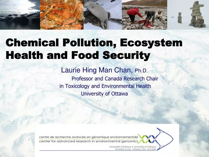 chemical pollution ecosystem health and food security