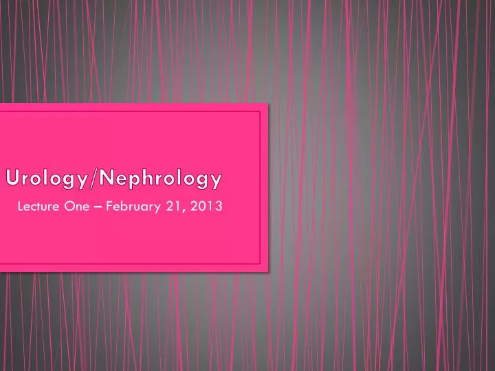 urology nephrology