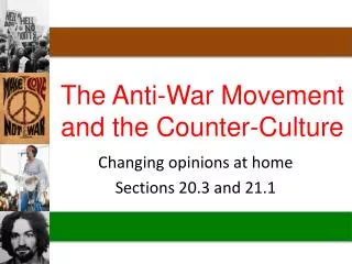The Anti-War Movement and the Counter-Culture