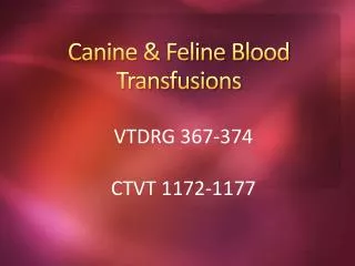 Canine &amp; Feline Blood Transfusions