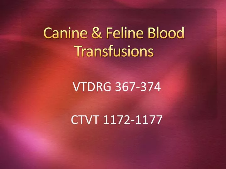 Ppt Canine And Feline Blood Transfusions Powerpoint Presentation Id