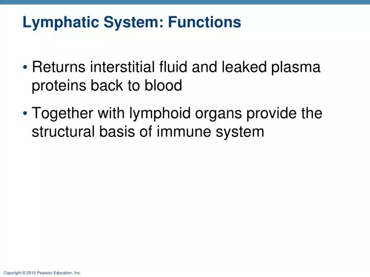 lymphatic system functions