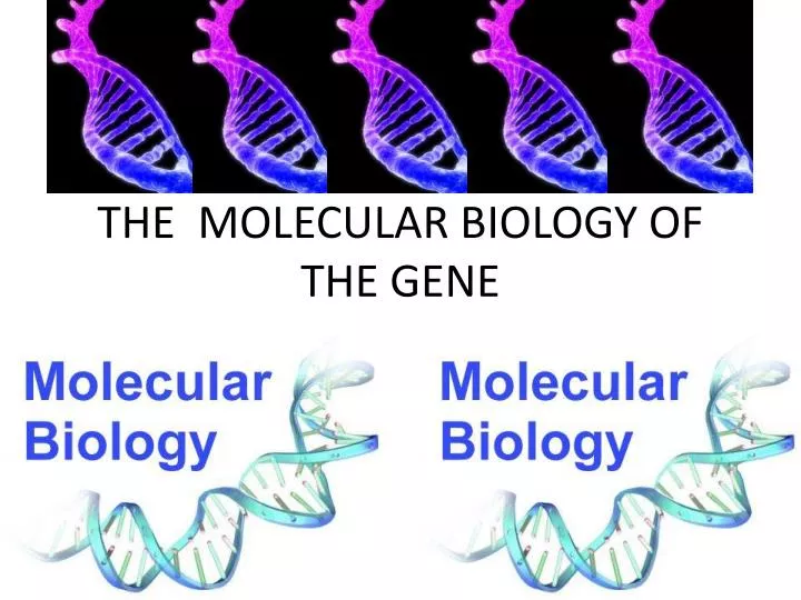 the molecular biology of the gene