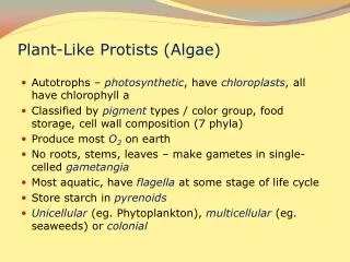 Plant-Like Protists (Algae)