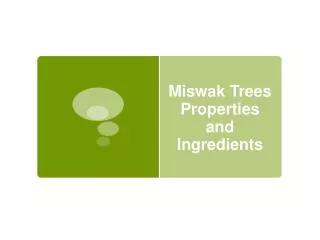 miswak trees properties and ingredients