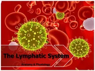 The Lymphatic System