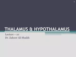 THALAMUS &amp; HYPOTHALAMUS