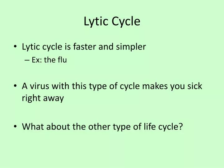 lytic cycle
