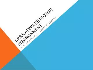 Simulating detector eNvironment