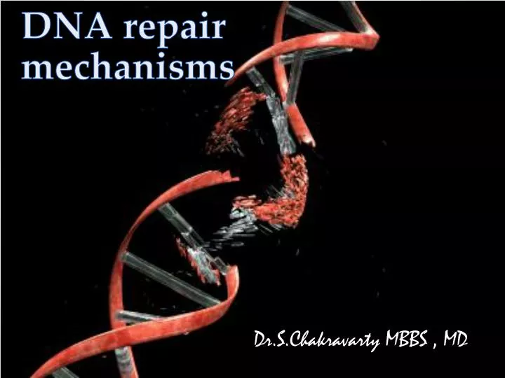 dna repair mechanisms