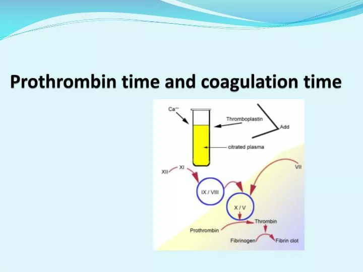 prothrombin time and coagulation time