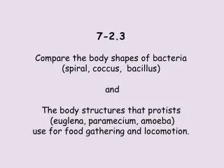 7-2.3 Compare the body shapes of bacteria ( spiral, coccus, bacillus) and