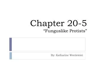 Chapter 20-5 “Funguslike Protists”