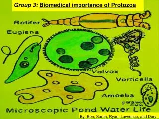 Group 3: Biomedical importance of Protozoa