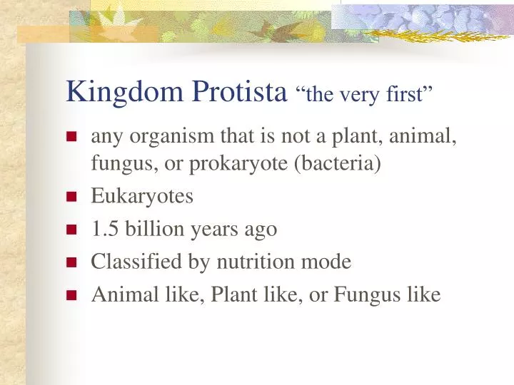 kingdom protista the very first