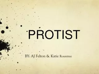 protist
