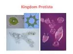 Kingdom Protista - slide 1