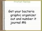 Protist Notes - slide 1