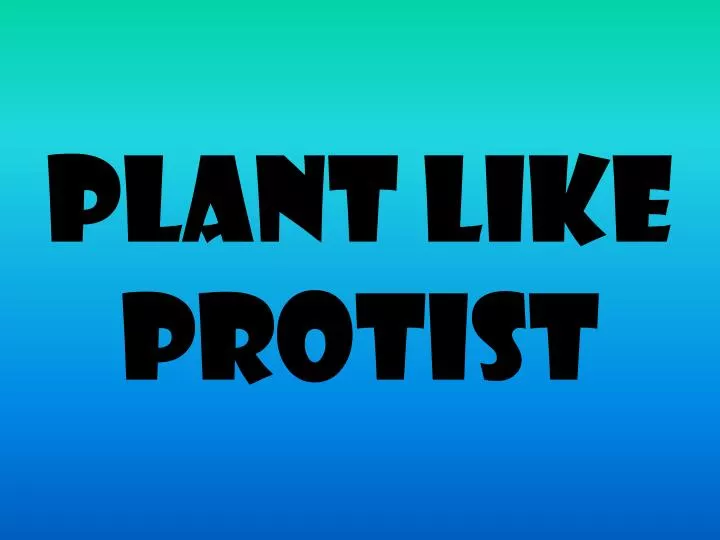 plant like protist