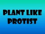 Plant like protist - slide 1