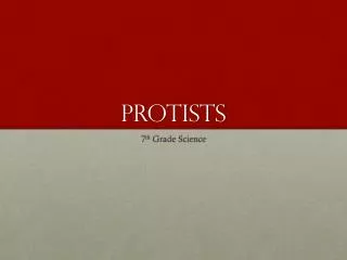 Protists