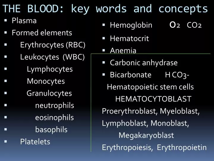 the blood key words and concepts