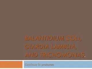 Balantidium coli, Giardia lamblia , and trichomonas .