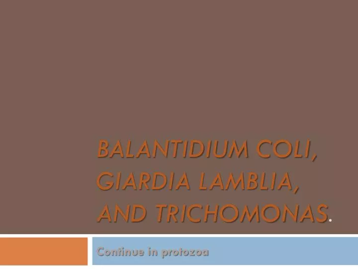 balantidium coli giardia lamblia and trichomonas