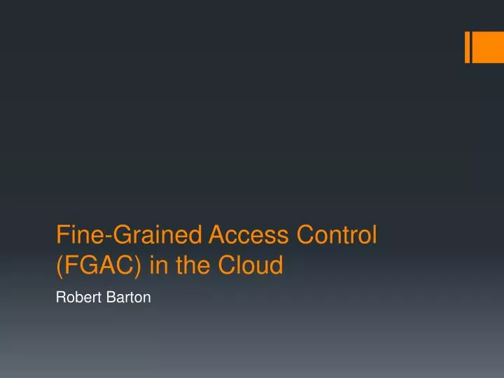 fine grained access control fgac in the cloud