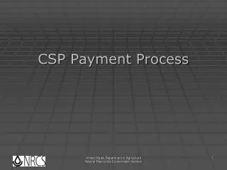 CSP Payment Process