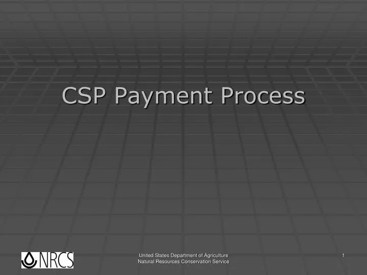 csp payment process