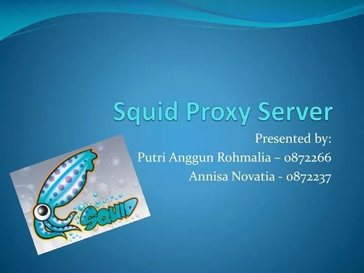 squid proxy server