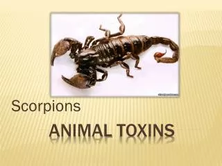 AnIMal Toxins