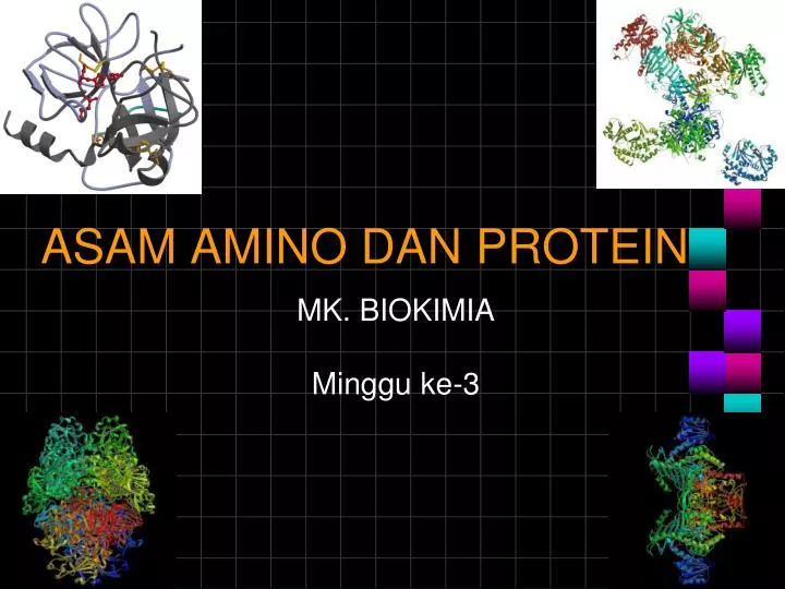 asam amino dan protein