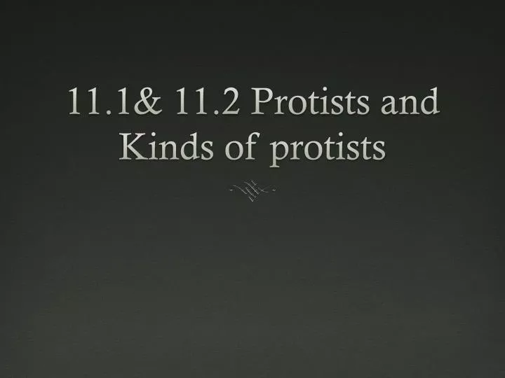 11 1 11 2 protists and kinds of protists