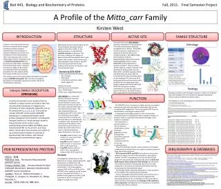A Profile of the Mitto_carr Family