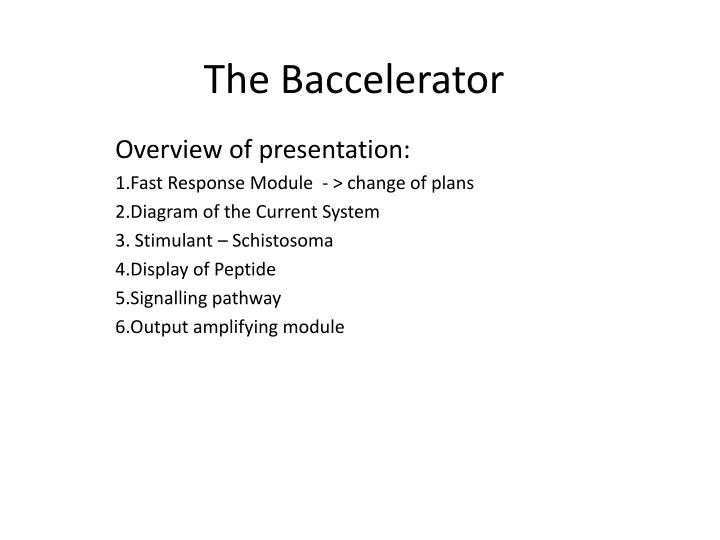 the baccelerator