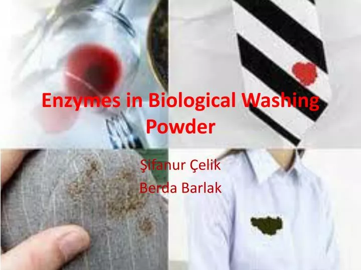 enzymes in biological washing powder