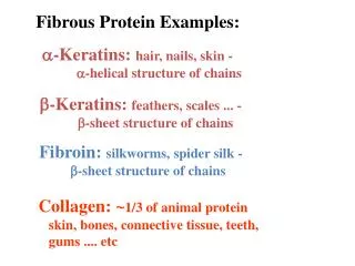 Fibrous Protein Examples: