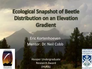 Ecological Snapshot of Beetle Distribution on an Elevation Gradient