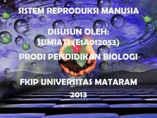 SISTEM REPRODUKSI MANUSIA DISUSUN OLEH: SUMIATI (E1A012053)