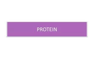 protein
