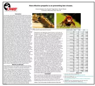 How effective propolis is on preventing bee viruses.